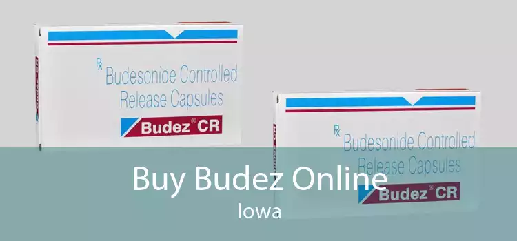 Buy Budez Online Iowa