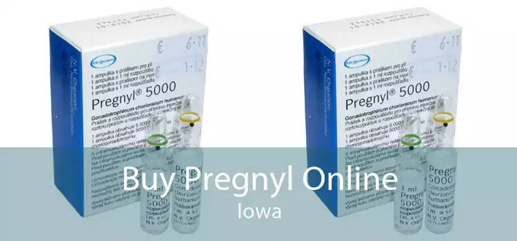 Buy Pregnyl Online Iowa