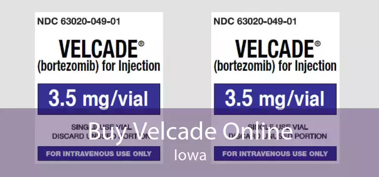 Buy Velcade Online Iowa